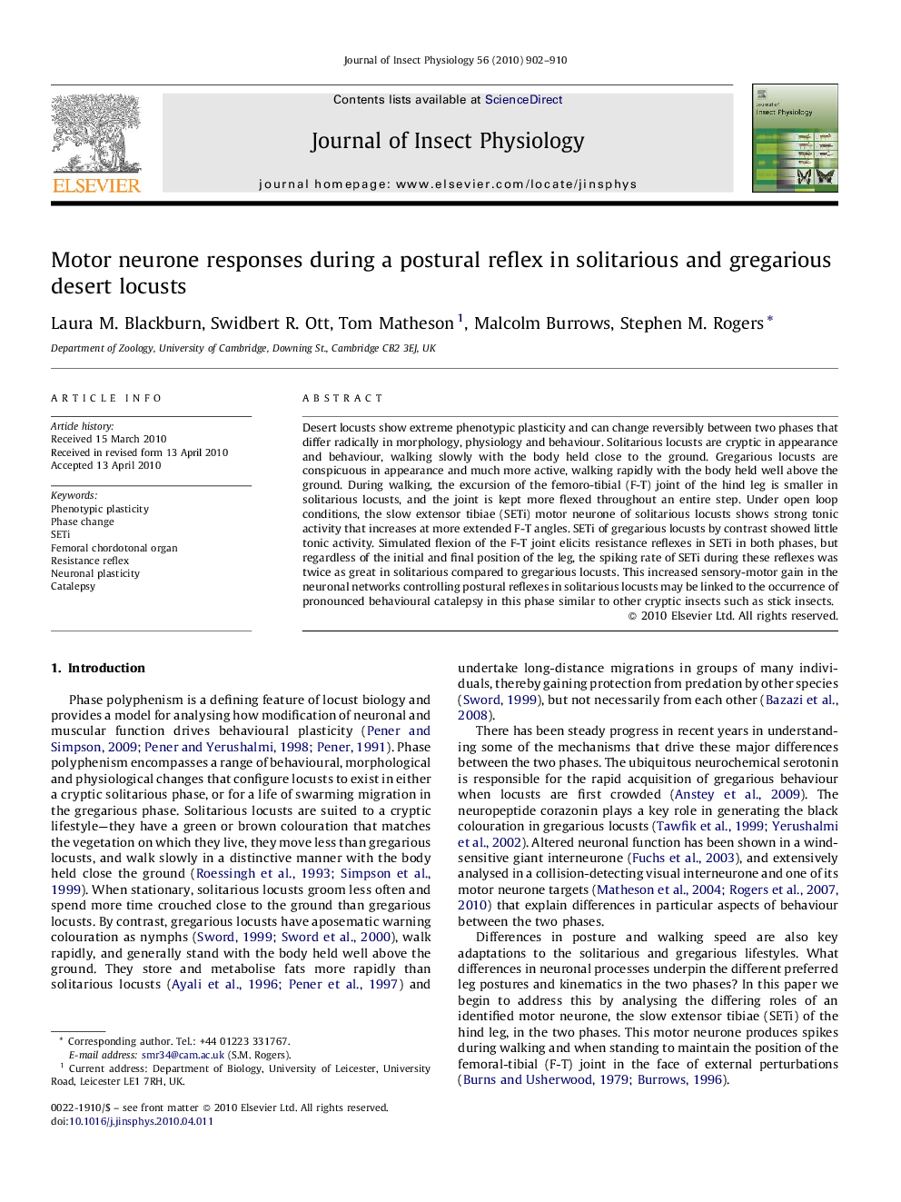 Motor neurone responses during a postural reflex in solitarious and gregarious desert locusts