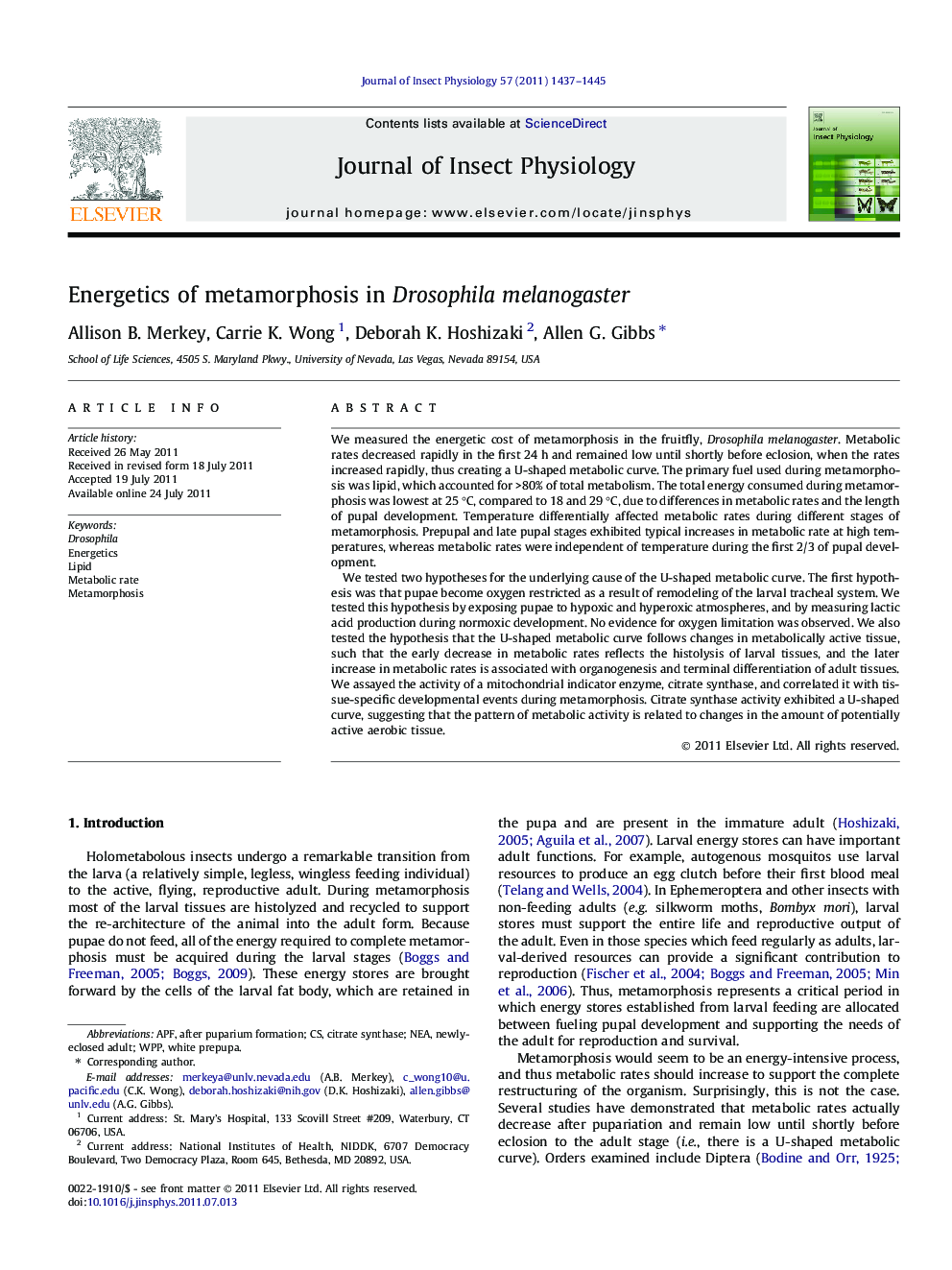 Energetics of metamorphosis in Drosophila melanogaster