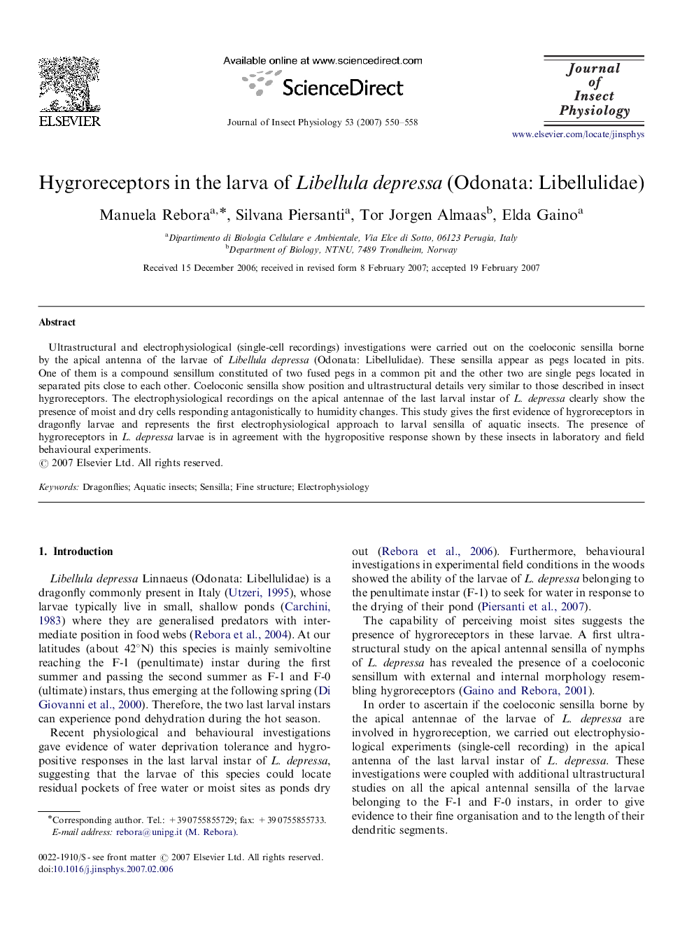 Hygroreceptors in the larva of Libellula depressa (Odonata: Libellulidae)