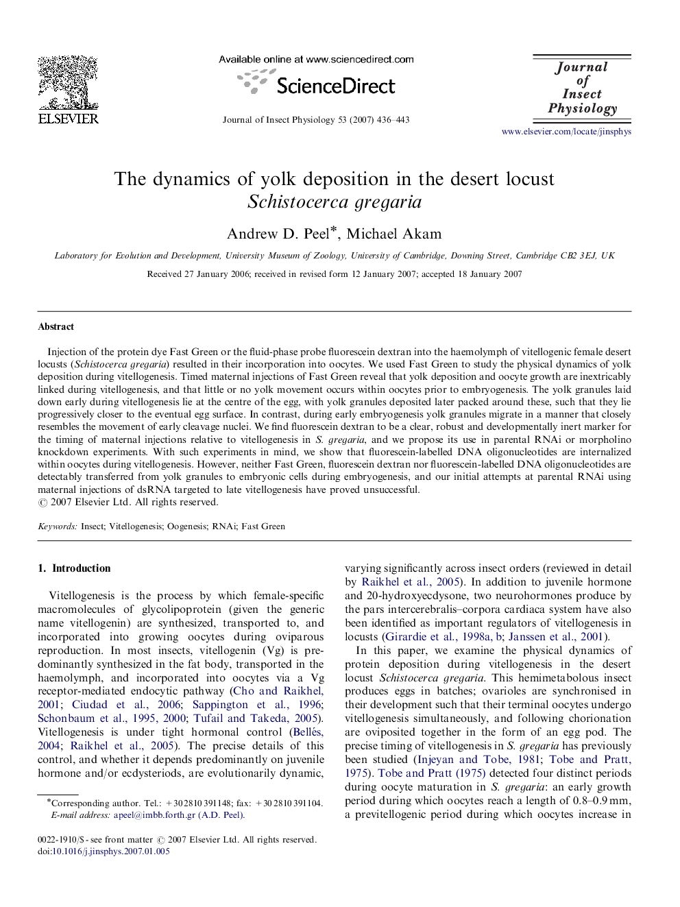 The dynamics of yolk deposition in the desert locust Schistocerca gregaria