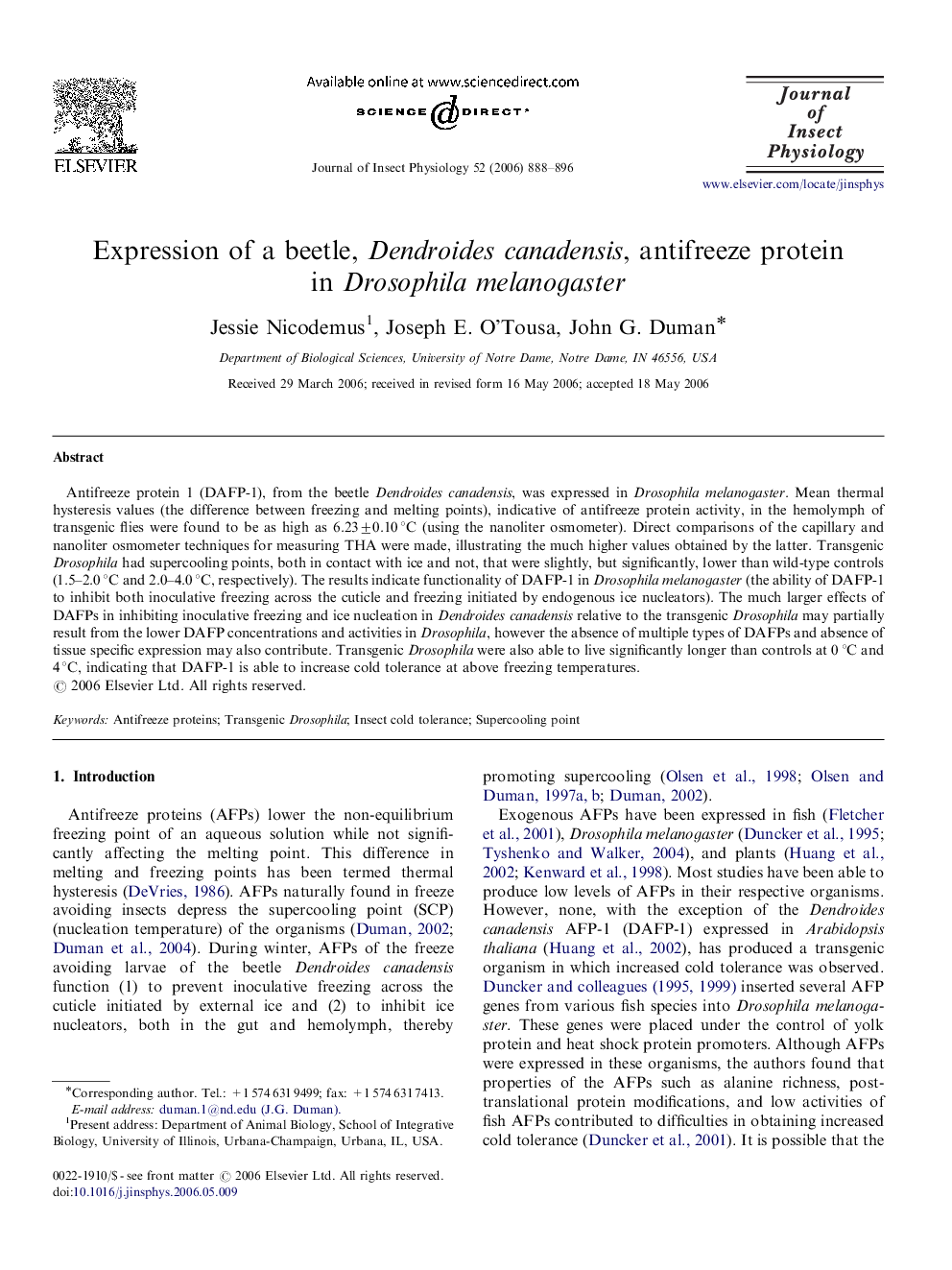 Expression of a beetle, Dendroides canadensis, antifreeze protein in Drosophila melanogaster