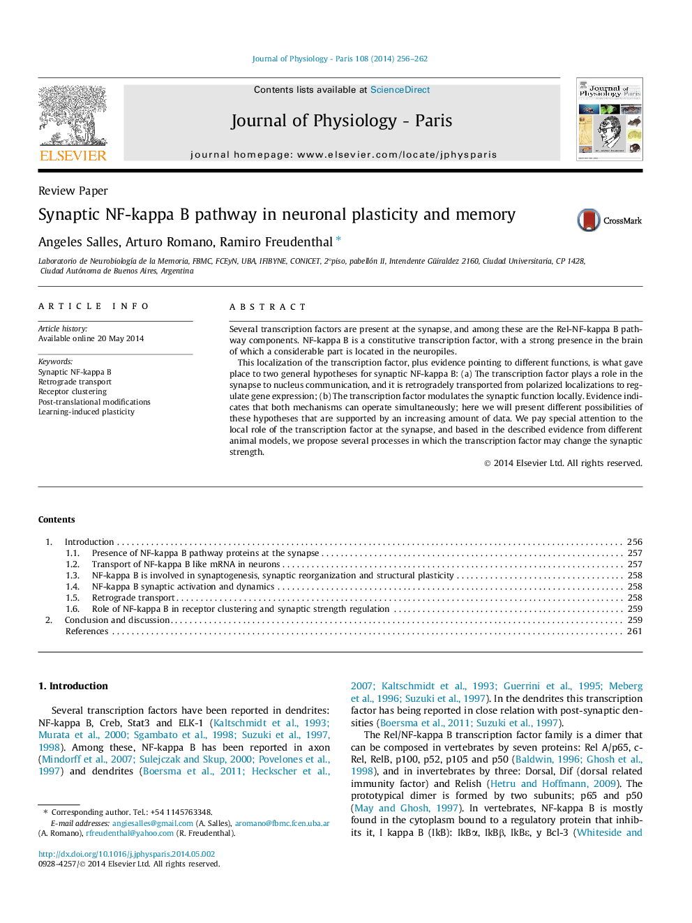 Synaptic NF-kappa B pathway in neuronal plasticity and memory