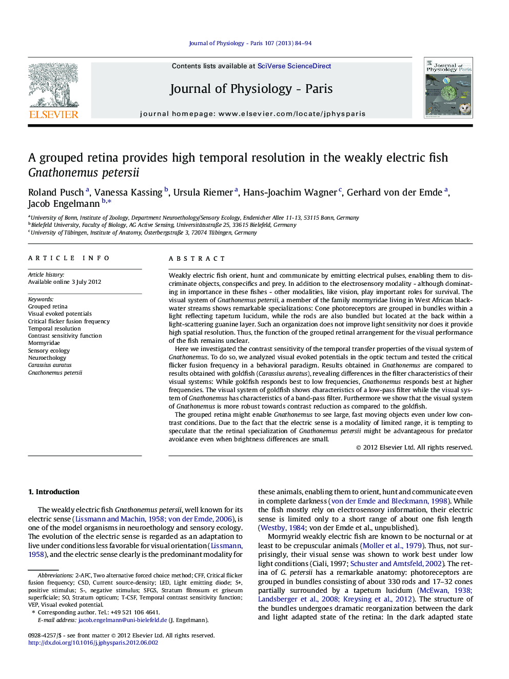 A grouped retina provides high temporal resolution in the weakly electric fish Gnathonemus petersii