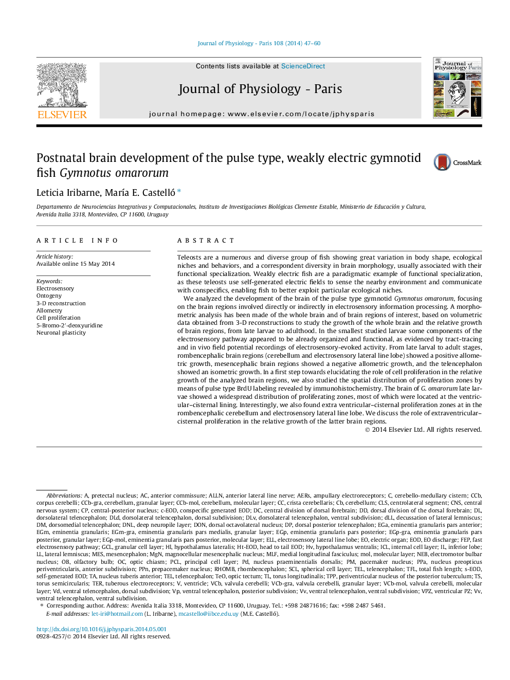 Postnatal brain development of the pulse type, weakly electric gymnotid fish Gymnotus omarorum