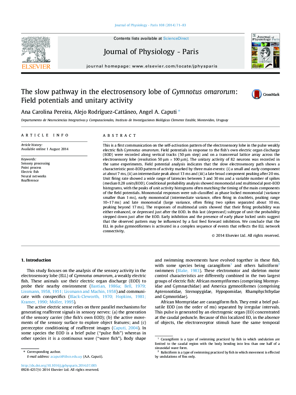 The slow pathway in the electrosensory lobe of Gymnotus omarorum: Field potentials and unitary activity