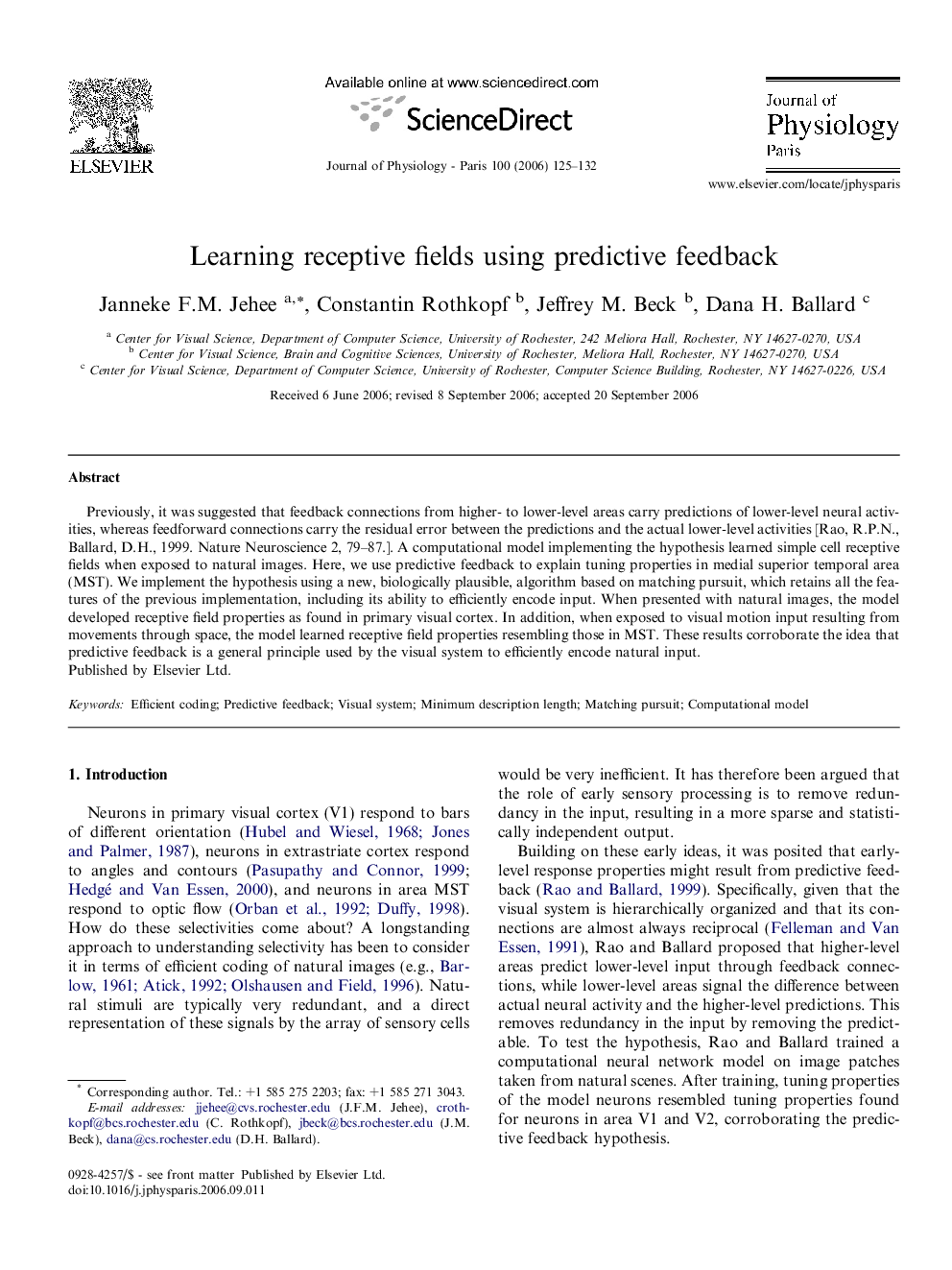 Learning receptive fields using predictive feedback