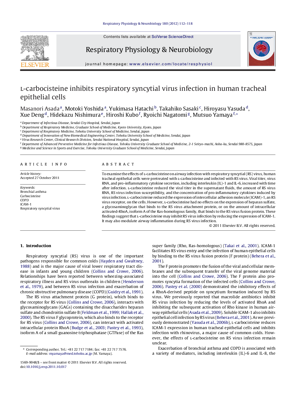 l-carbocisteine inhibits respiratory syncytial virus infection in human tracheal epithelial cells