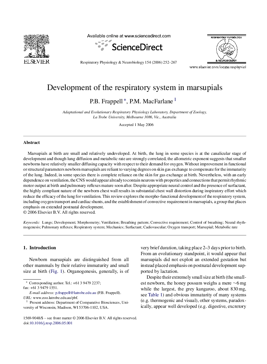 Development of the respiratory system in marsupials