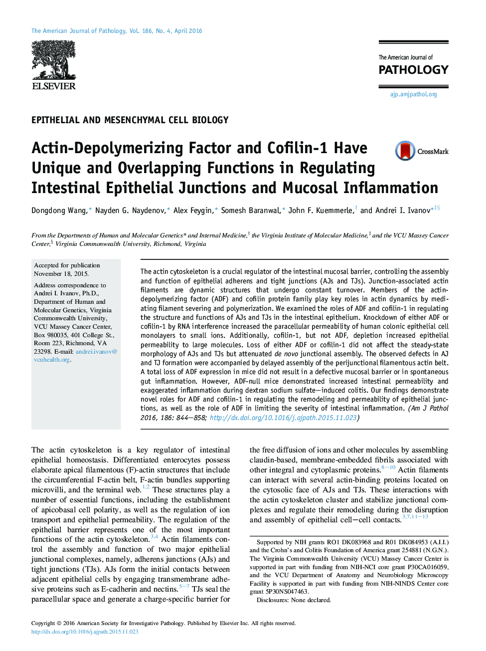 Actin-Depolymerizing Factor and Cofilin-1 Have Unique and Overlapping Functions in Regulating Intestinal Epithelial Junctions and Mucosal Inflammation 