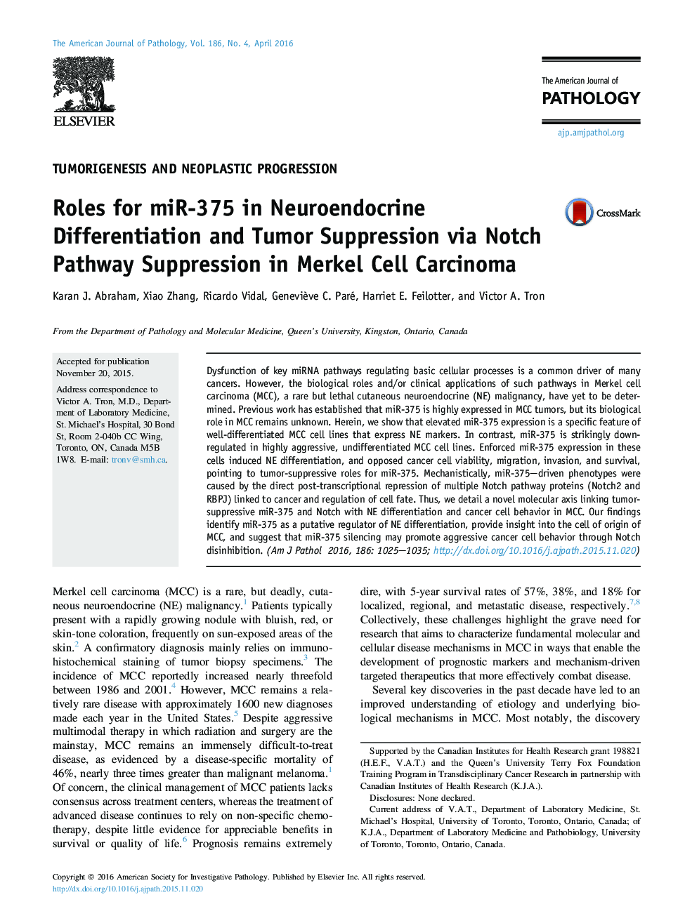Roles for miR-375 in Neuroendocrine Differentiation and Tumor Suppression via Notch Pathway Suppression in Merkel Cell Carcinoma 