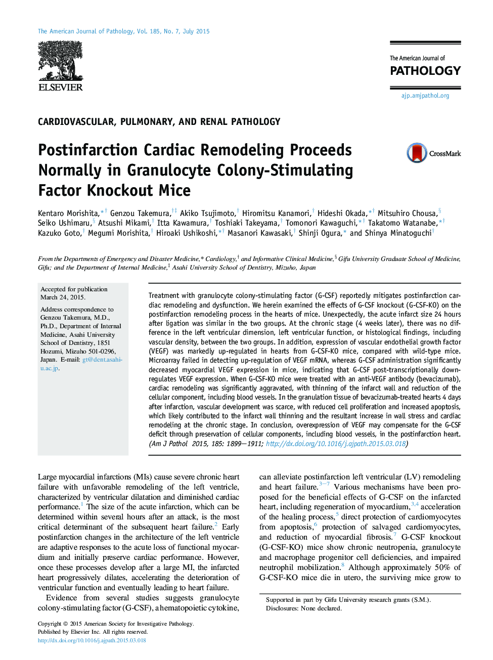 Postinfarction Cardiac Remodeling Proceeds Normally in Granulocyte Colony-Stimulating Factor Knockout Mice 