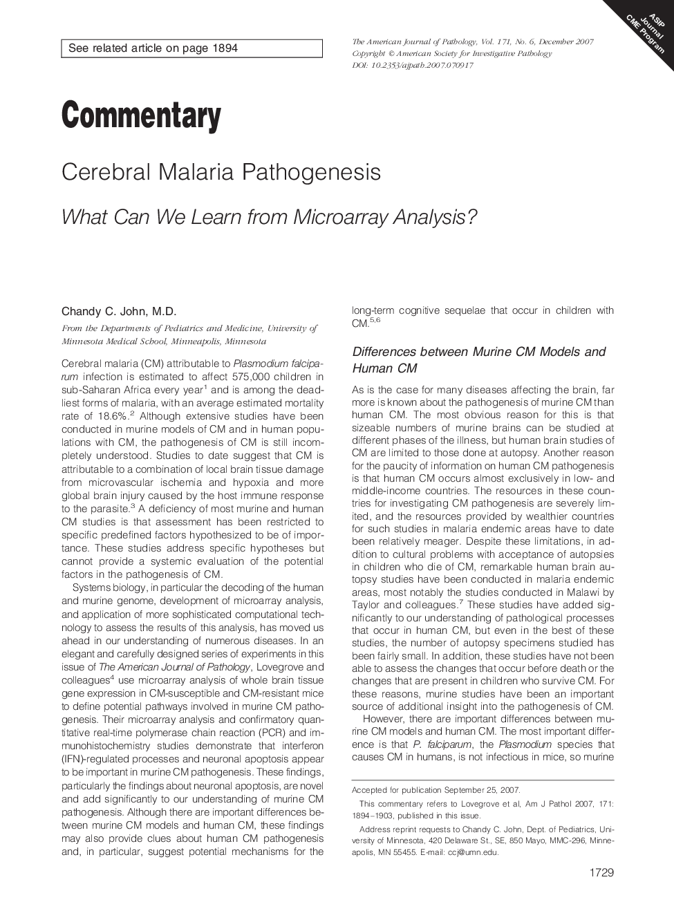 Cerebral Malaria Pathogenesis