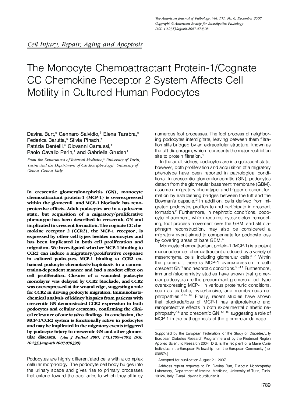 The Monocyte Chemoattractant Protein-1/Cognate CC Chemokine Receptor 2 System Affects Cell Motility in Cultured Human Podocytes 
