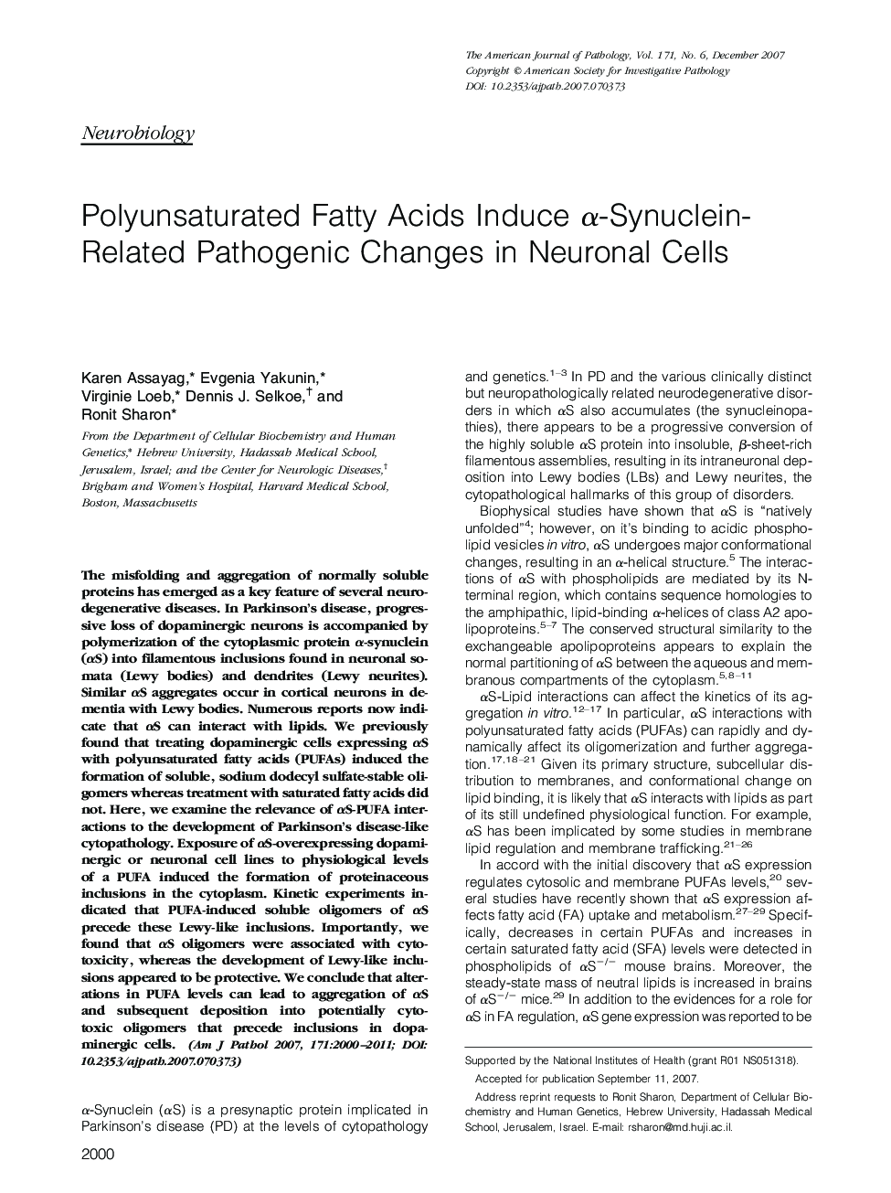 Polyunsaturated Fatty Acids Induce α-Synuclein-Related Pathogenic Changes in Neuronal Cells 