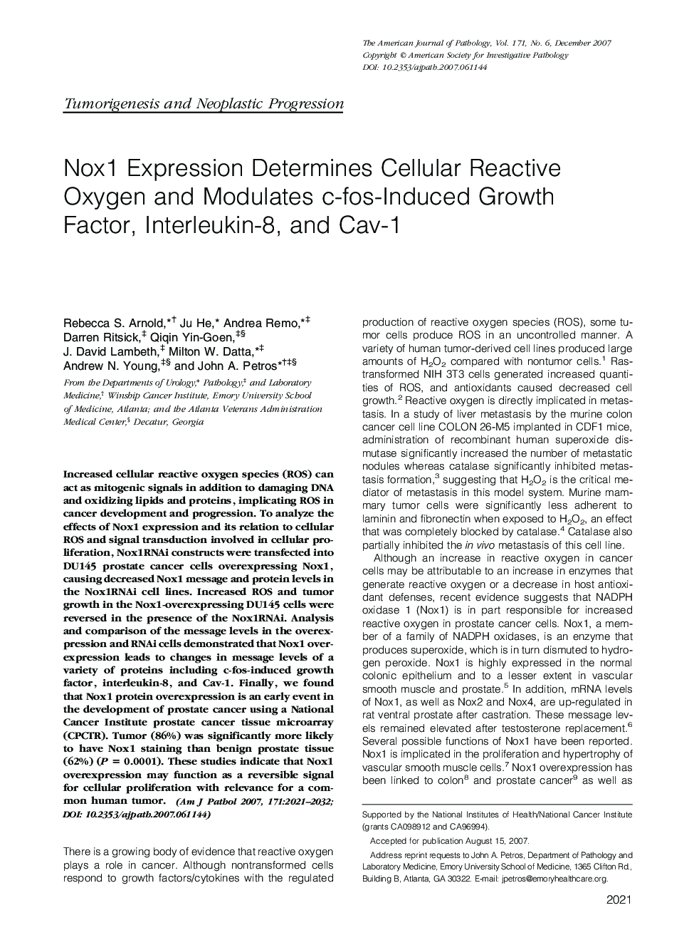 Nox1 Expression Determines Cellular Reactive Oxygen and Modulates c-fos-Induced Growth Factor, Interleukin-8, and Cav-1 