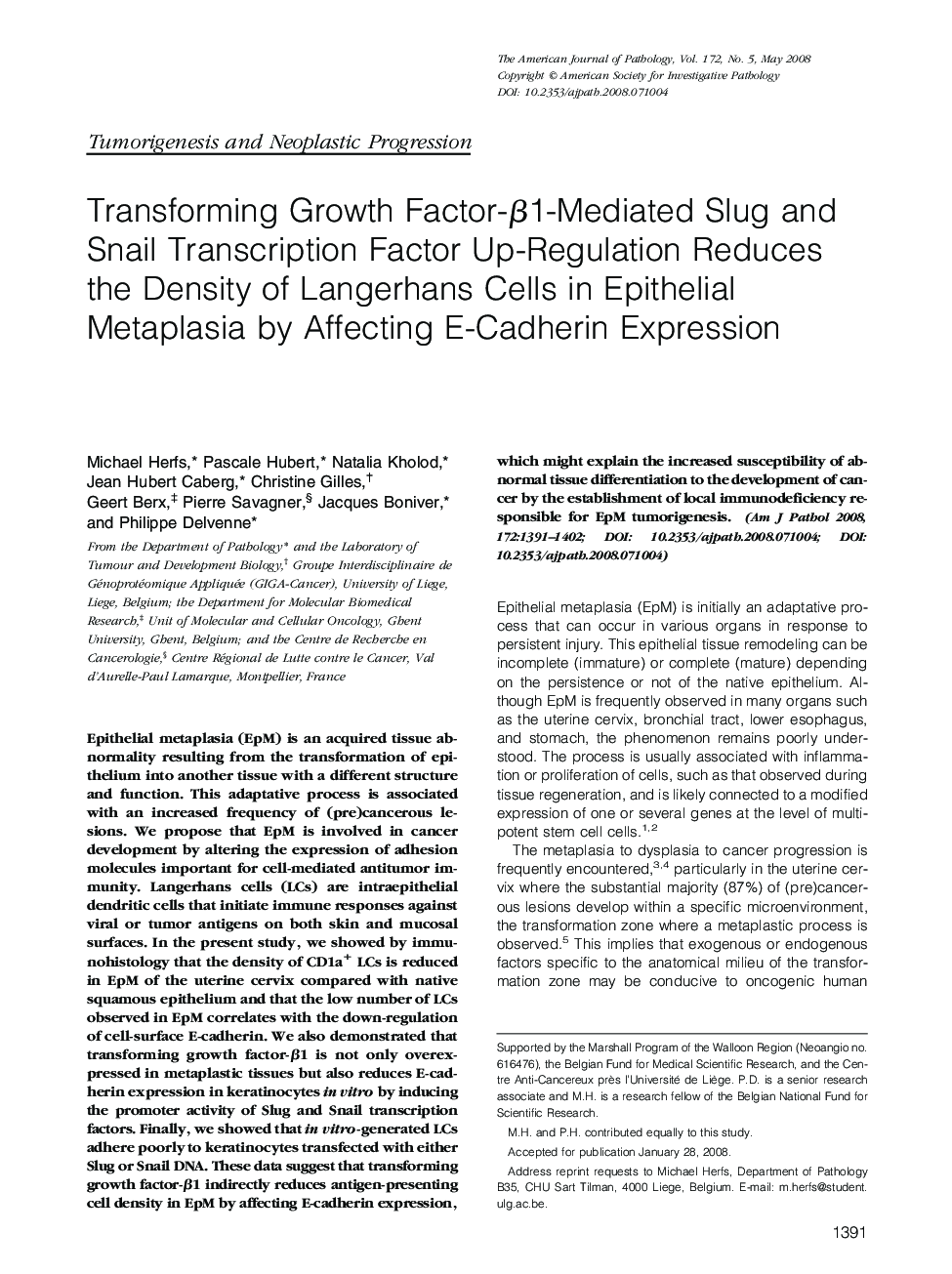 Transforming Growth Factor-β1-Mediated Slug and Snail Transcription Factor Up-Regulation Reduces the Density of Langerhans Cells in Epithelial Metaplasia by Affecting E-Cadherin Expression 