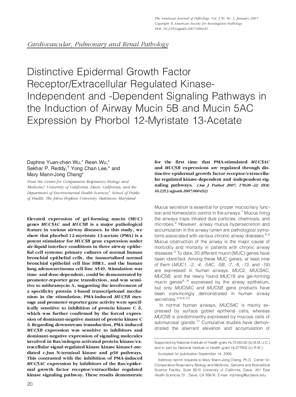 Distinctive Epidermal Growth Factor Receptor/Extracellular Regulated Kinase-Independent and -Dependent Signaling Pathways in the Induction of Airway Mucin 5B and Mucin 5AC Expression by Phorbol 12-Myristate 13-Acetate 