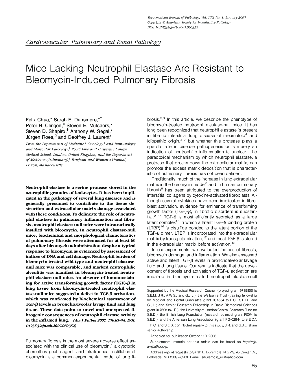 Mice Lacking Neutrophil Elastase Are Resistant to Bleomycin-Induced Pulmonary Fibrosis 