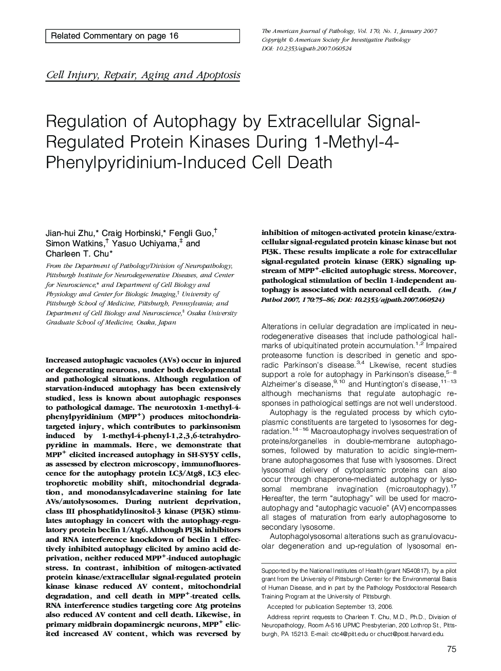 Regulation of Autophagy by Extracellular Signal-Regulated Protein Kinases During 1-Methyl-4-Phenylpyridinium-Induced Cell Death 