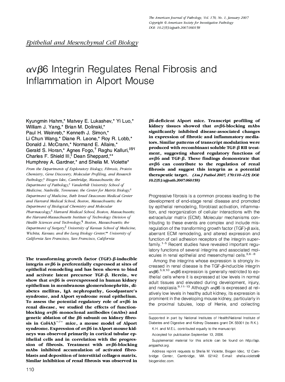 αvβ6 Integrin Regulates Renal Fibrosis and Inflammation in Alport Mouse 