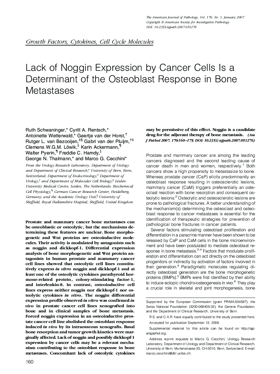 Lack of Noggin Expression by Cancer Cells Is a Determinant of the Osteoblast Response in Bone Metastases 