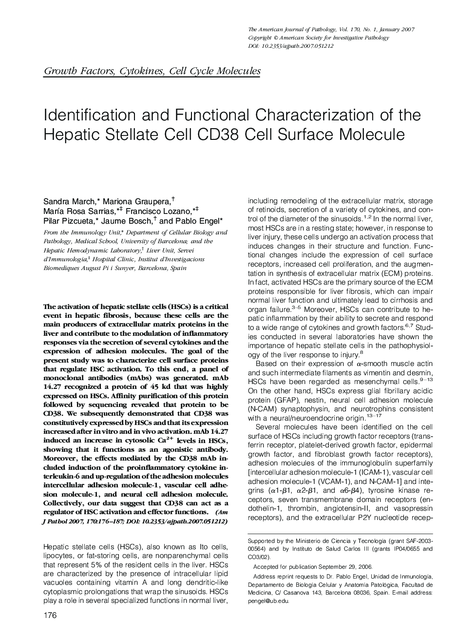Identification and Functional Characterization of the Hepatic Stellate Cell CD38 Cell Surface Molecule 