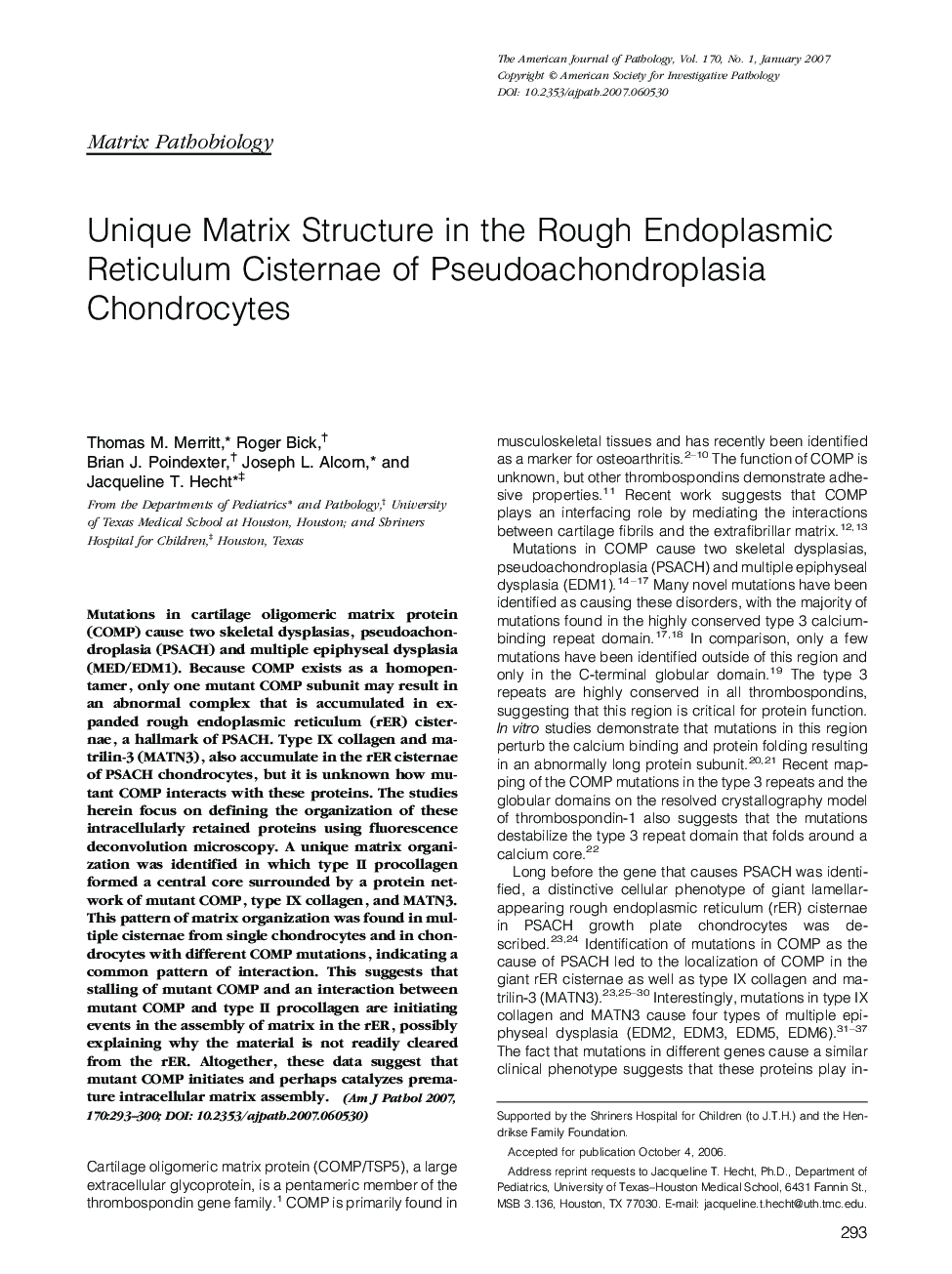 Unique Matrix Structure in the Rough Endoplasmic Reticulum Cisternae of Pseudoachondroplasia Chondrocytes 