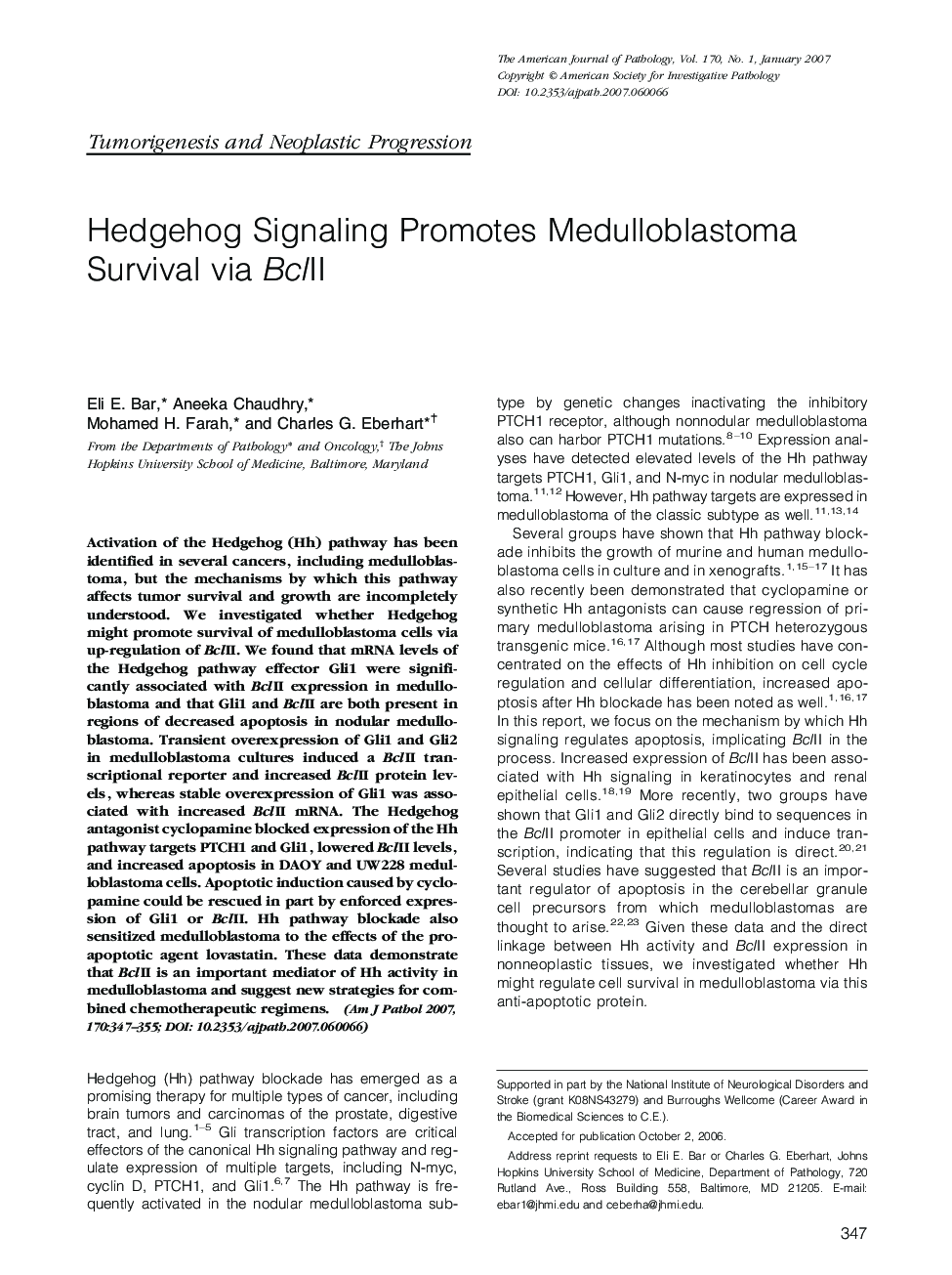 Hedgehog Signaling Promotes Medulloblastoma Survival via BclII 