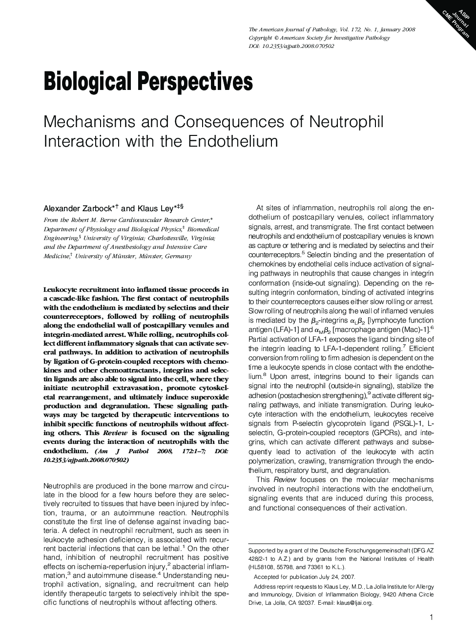 Mechanisms and Consequences of Neutrophil Interaction with the Endothelium 