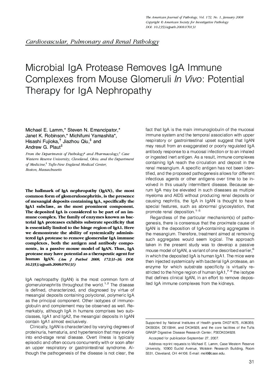 Microbial IgA Protease Removes IgA Immune Complexes from Mouse Glomeruli In Vivo: Potential Therapy for IgA Nephropathy 