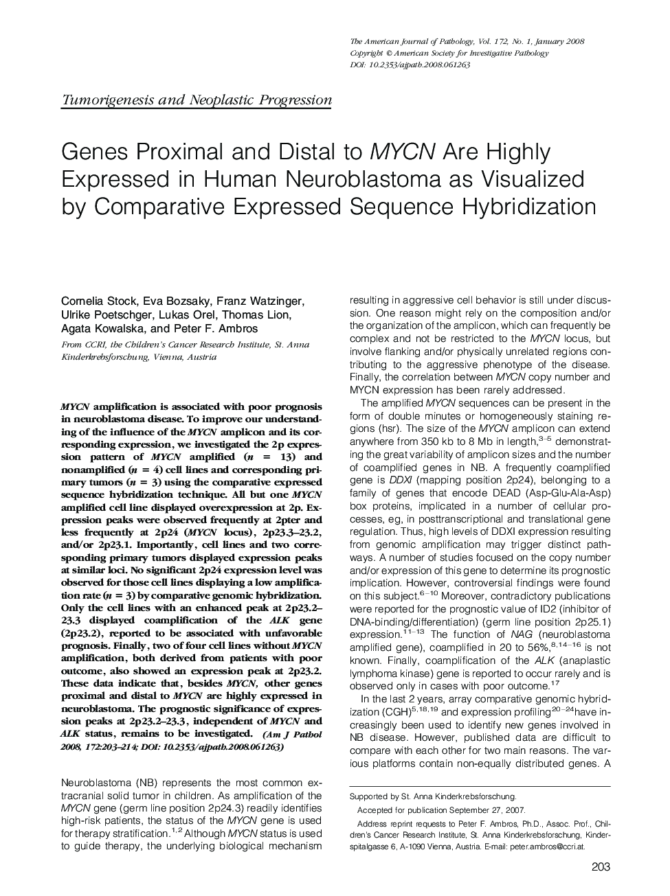 Genes Proximal and Distal to MYCN Are Highly Expressed in Human Neuroblastoma as Visualized by Comparative Expressed Sequence Hybridization 