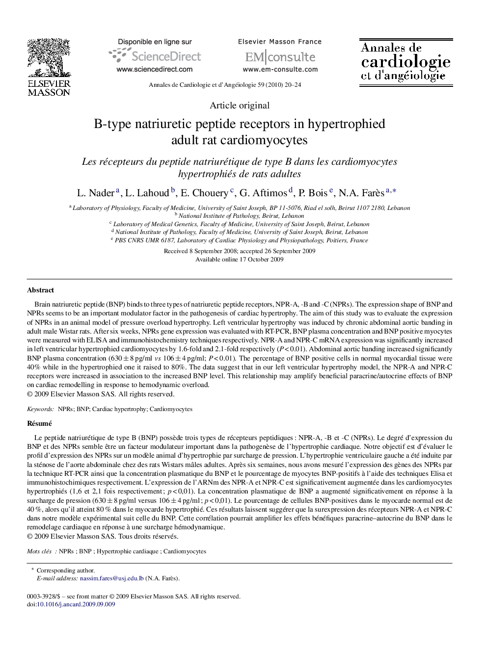 B-type natriuretic peptide receptors in hypertrophied adult rat cardiomyocytes