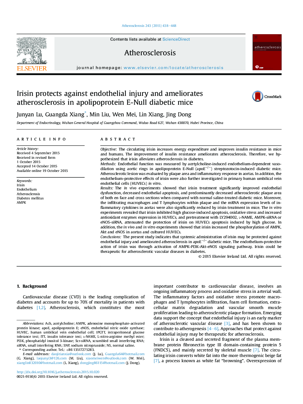 Irisin protects against endothelial injury and ameliorates atherosclerosis in apolipoprotein E-Null diabetic mice