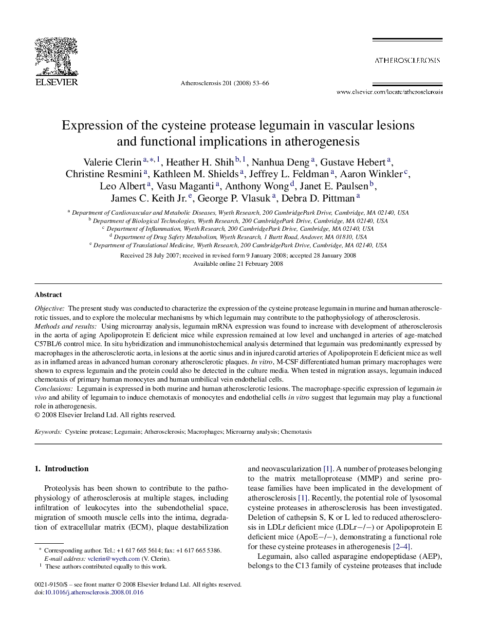 Expression of the cysteine protease legumain in vascular lesions and functional implications in atherogenesis