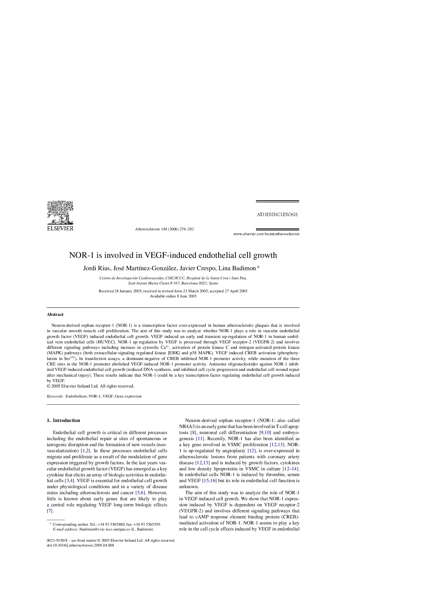 NOR-1 is involved in VEGF-induced endothelial cell growth