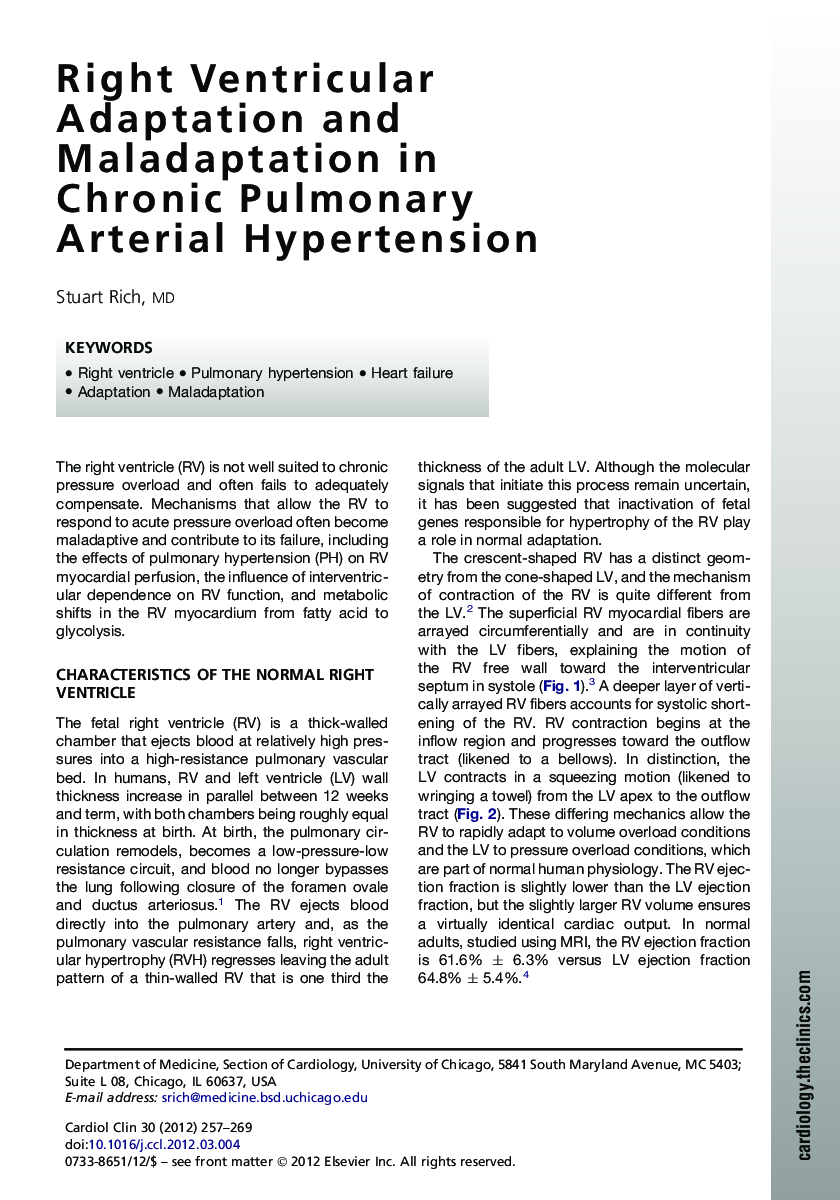 Right Ventricular Adaptation and Maladaptation in Chronic Pulmonary Arterial Hypertension