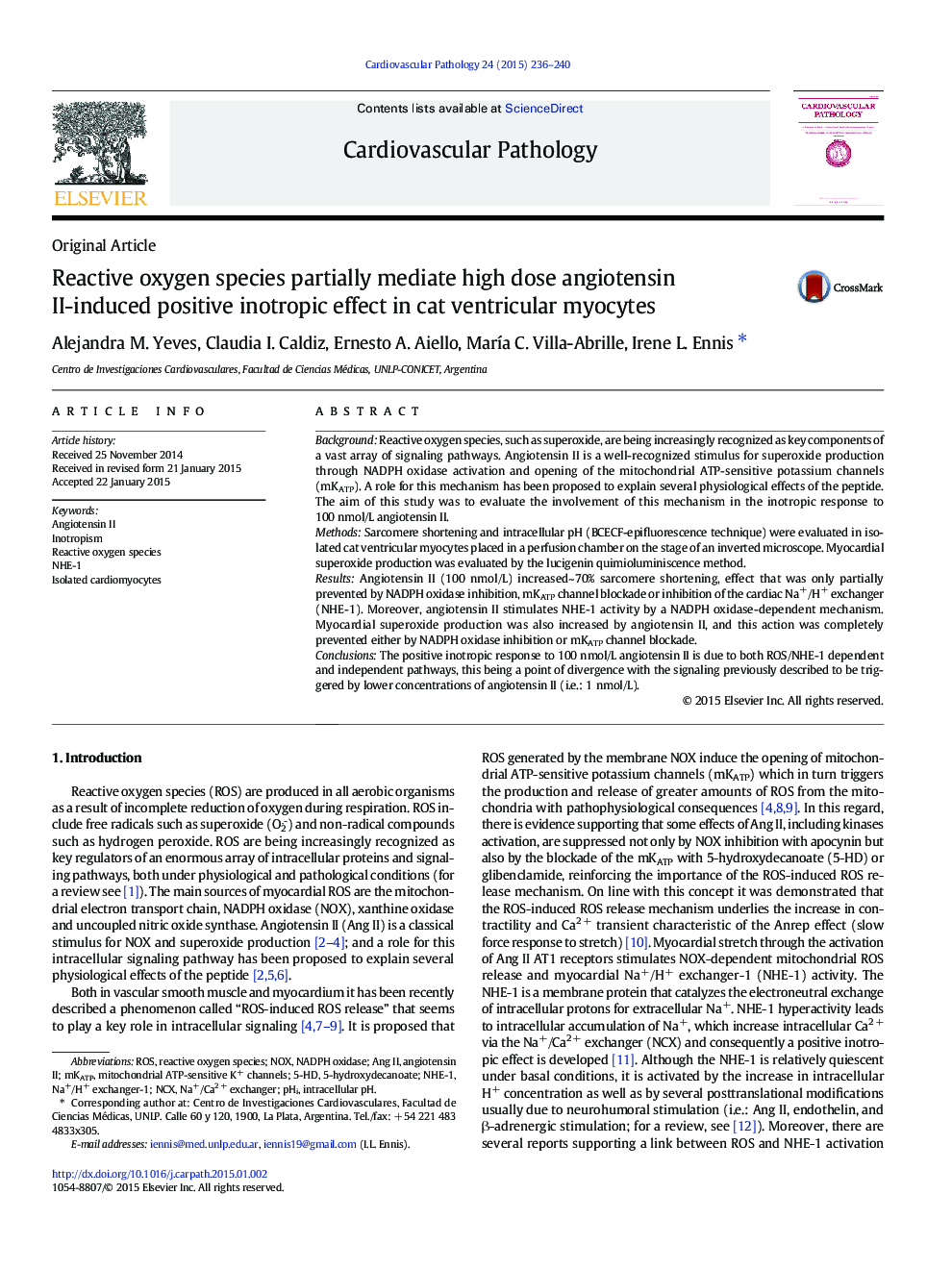 Reactive oxygen species partially mediate high dose angiotensin II-induced positive inotropic effect in cat ventricular myocytes