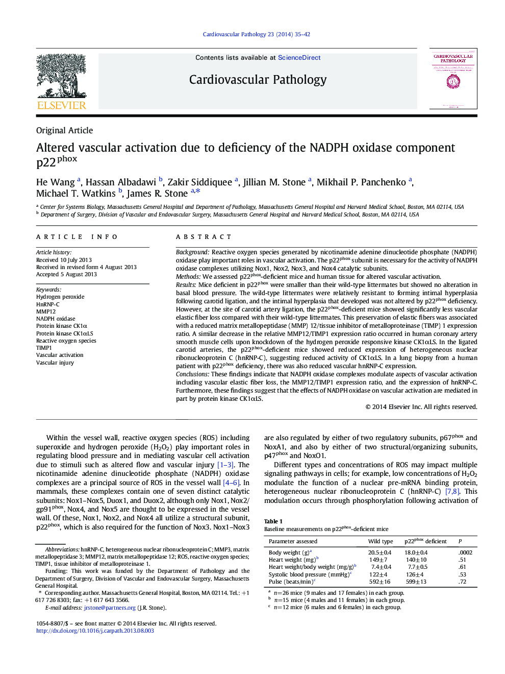 Altered vascular activation due to deficiency of the NADPH oxidase component p22phox