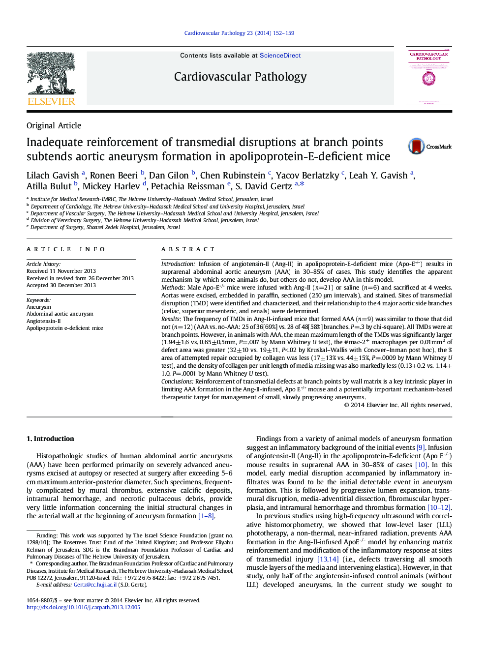 Inadequate reinforcement of transmedial disruptions at branch points subtends aortic aneurysm formation in apolipoprotein-E-deficient mice 