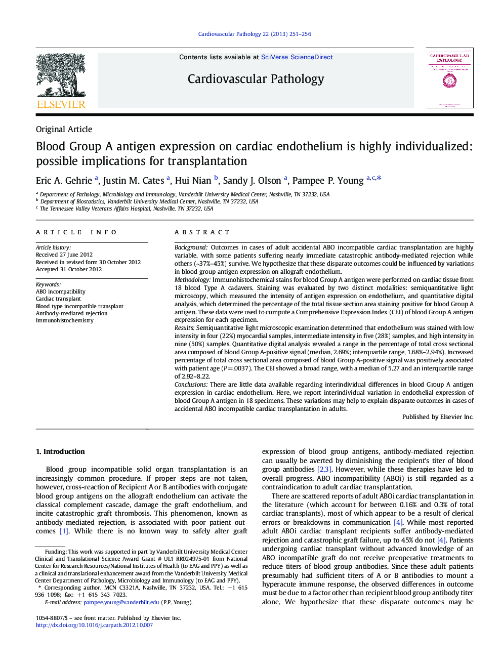 Blood Group A antigen expression on cardiac endothelium is highly individualized: possible implications for transplantation 