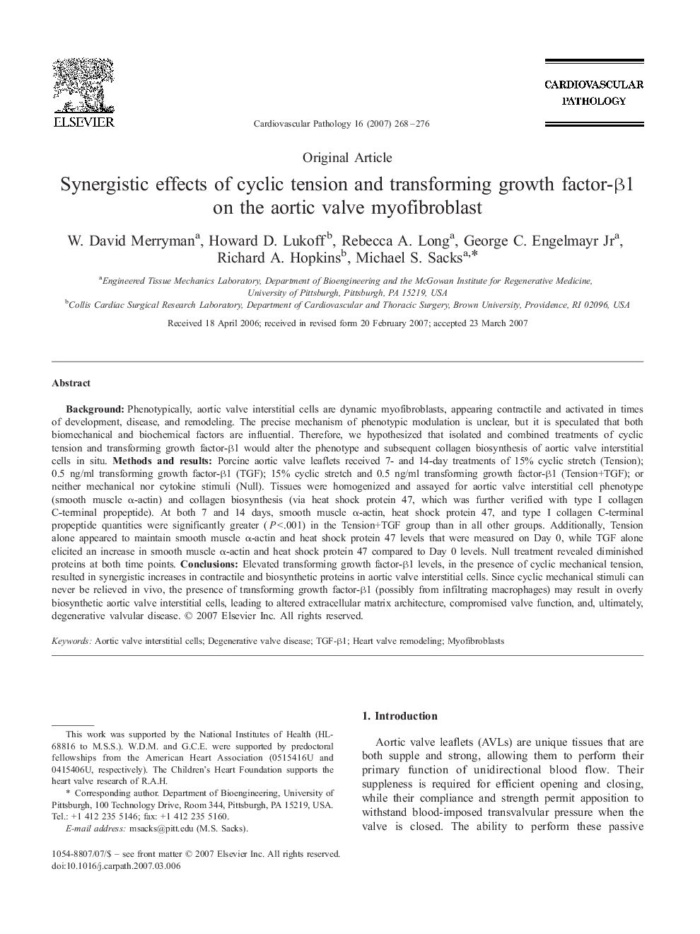 Synergistic effects of cyclic tension and transforming growth factor-β1 on the aortic valve myofibroblast 