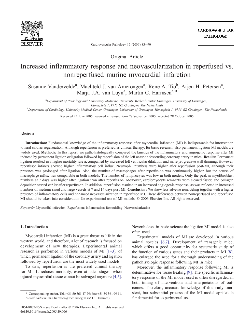 Increased inflammatory response and neovascularization in reperfused vs. nonreperfused murine myocardial infarction