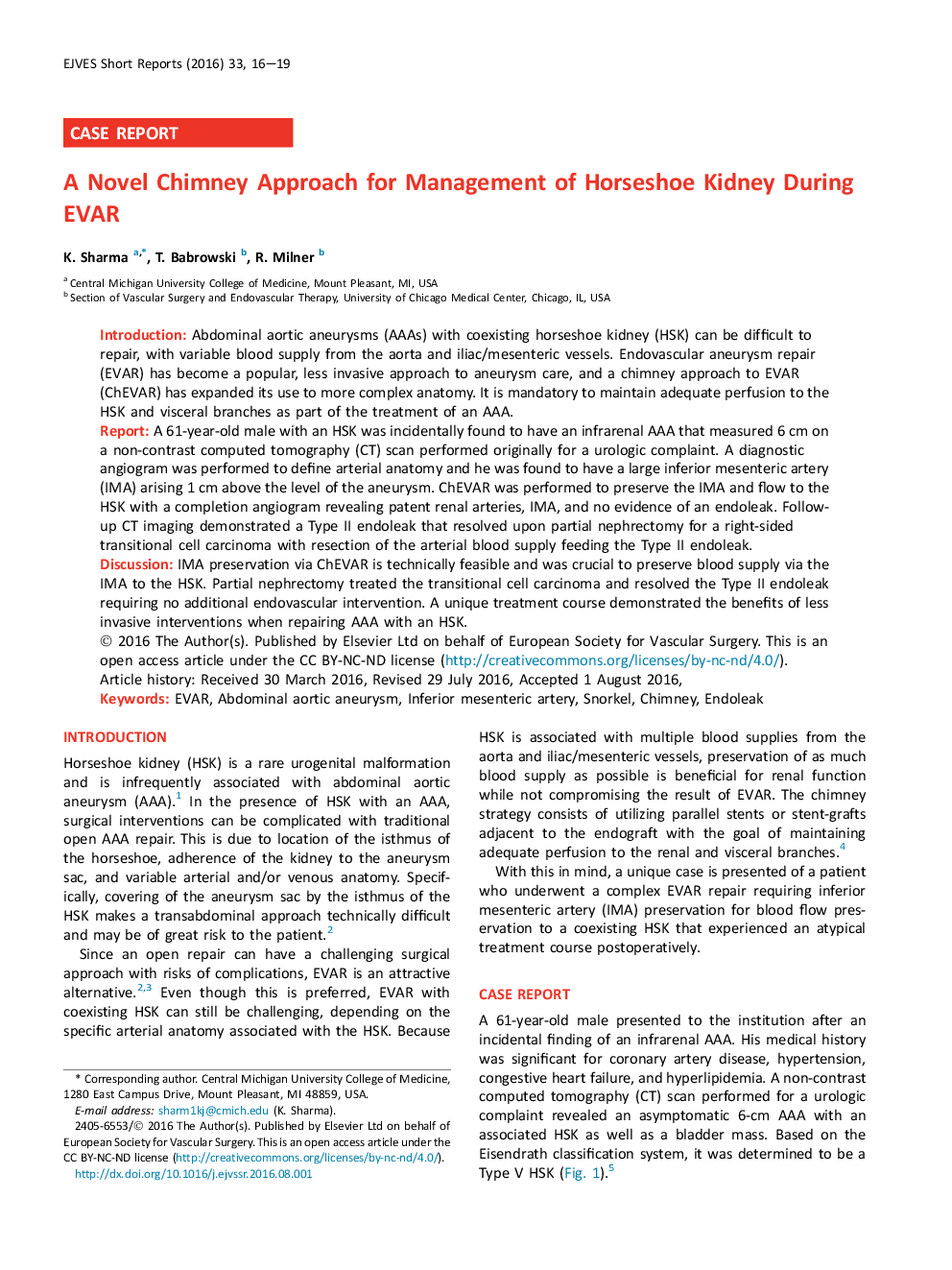 A Novel Chimney Approach for Management of Horseshoe Kidney During EVAR