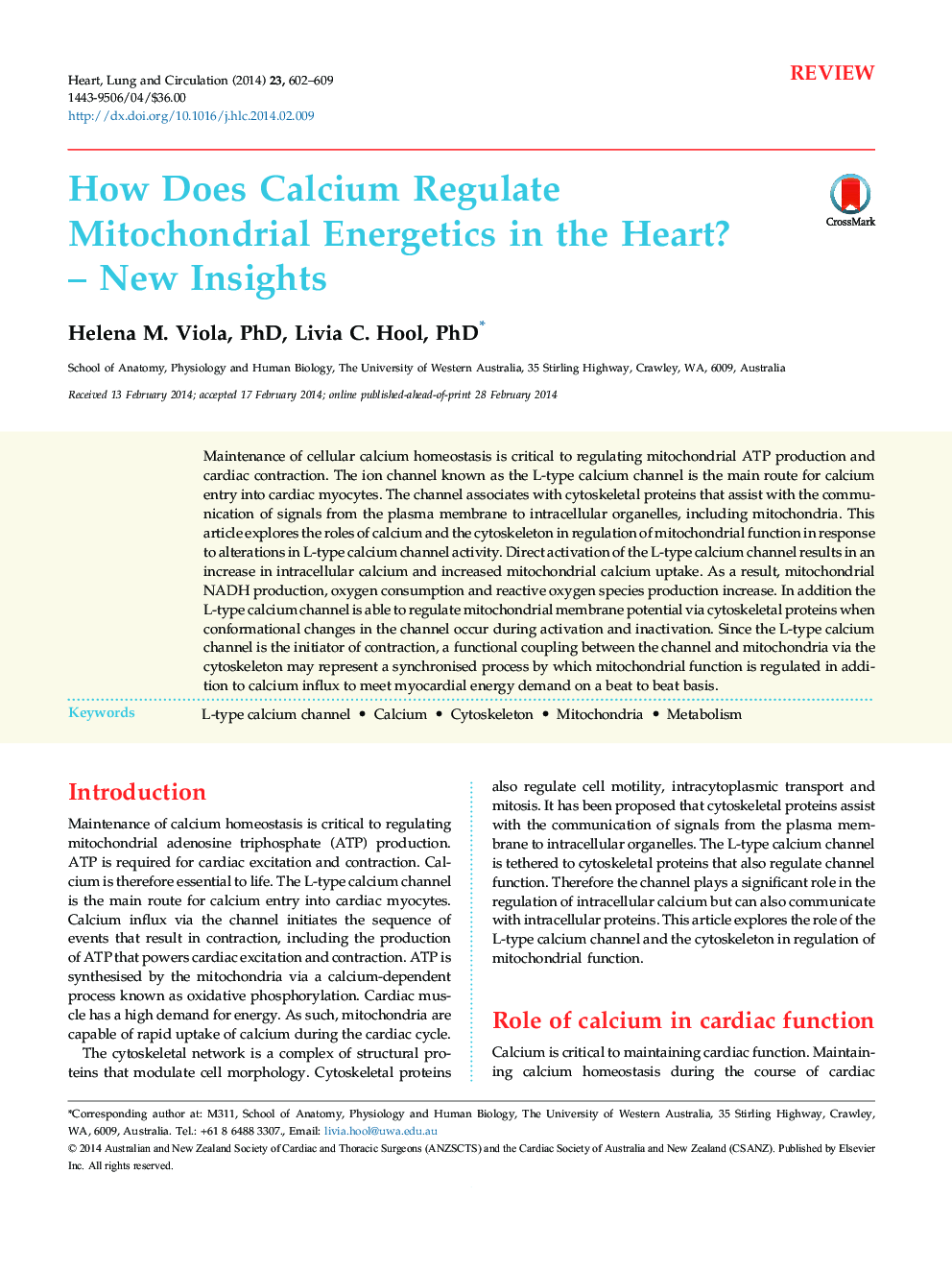 How Does Calcium Regulate Mitochondrial Energetics in the Heart? – New Insights