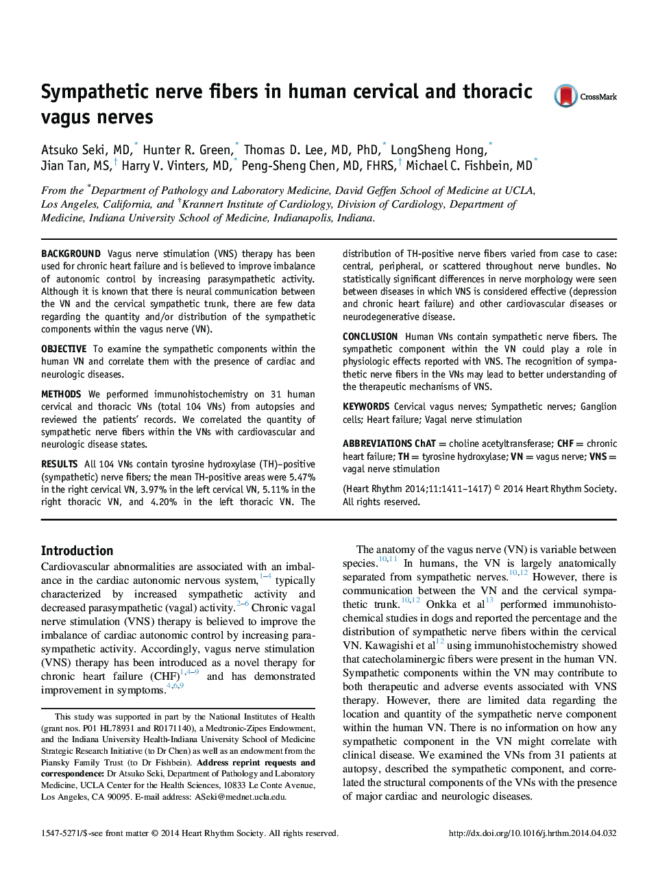 Sympathetic nerve fibers in human cervical and thoracic vagus nerves 