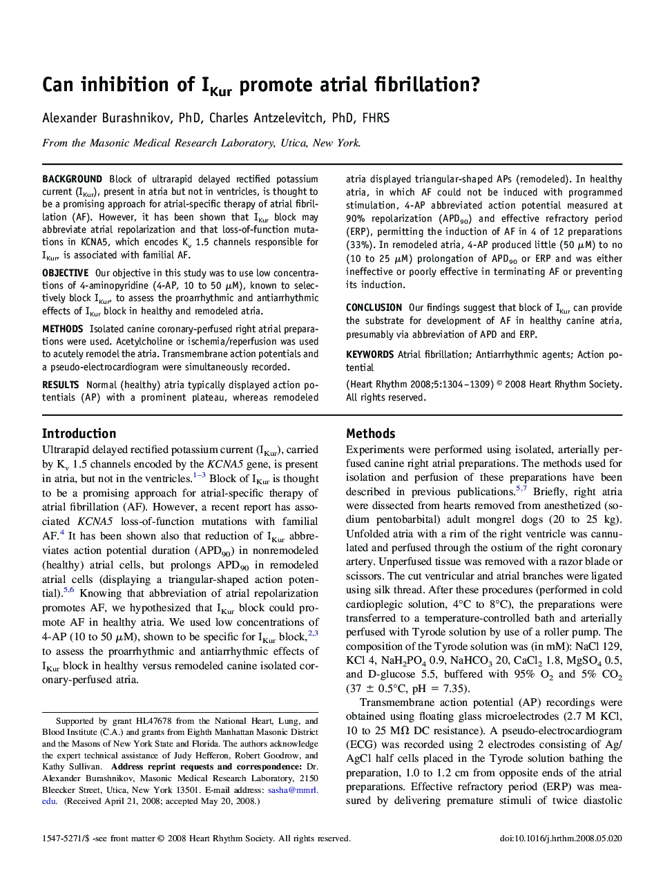 Can inhibition of IKur promote atrial fibrillation? 