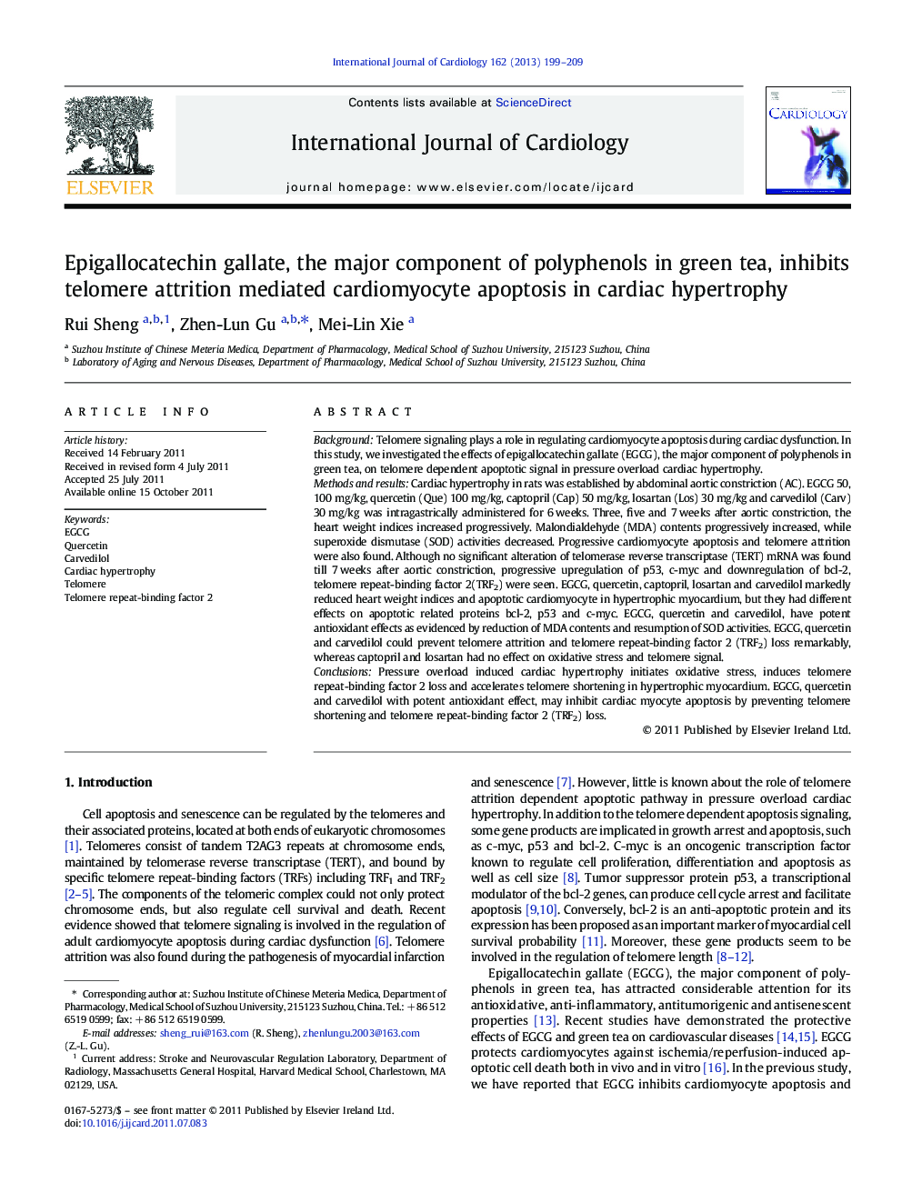 Epigallocatechin gallate, the major component of polyphenols in green tea, inhibits telomere attrition mediated cardiomyocyte apoptosis in cardiac hypertrophy