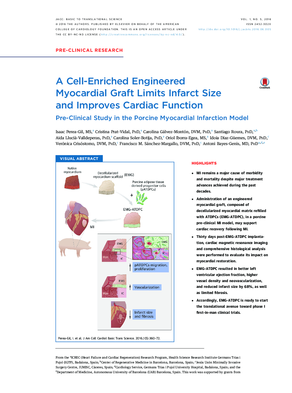 A Cell-Enriched Engineered Myocardial Graft Limits Infarct Size and Improves Cardiac Function : Pre-Clinical Study in the Porcine Myocardial Infarction Model