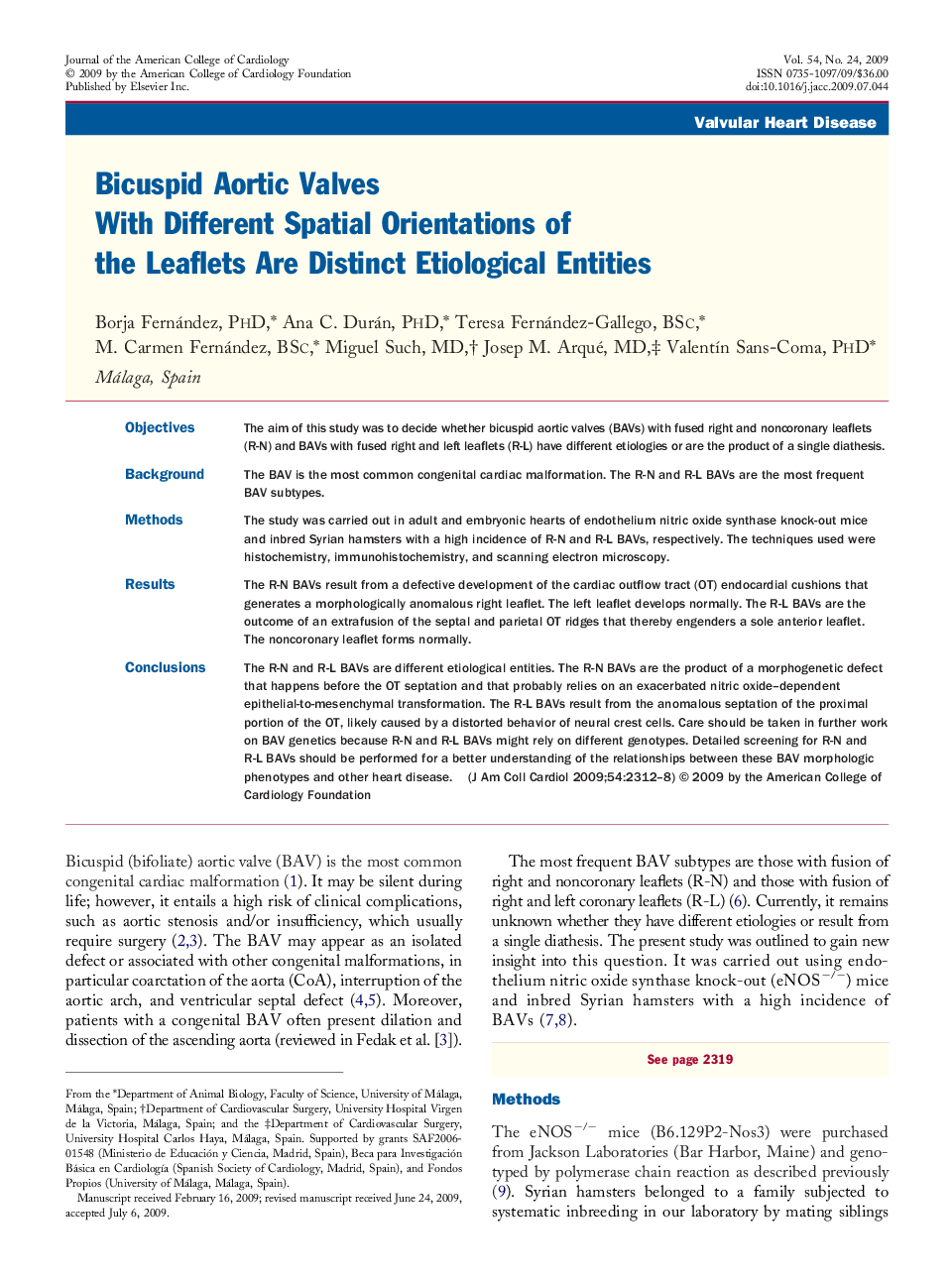 Bicuspid Aortic Valves With Different Spatial Orientations of the Leaflets Are Distinct Etiological Entities 