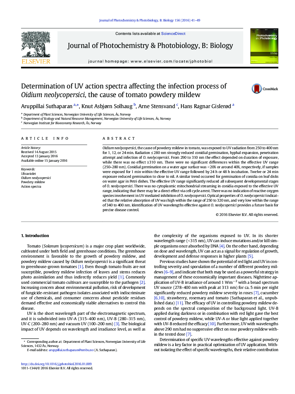 Determination of UV action spectra affecting the infection process of Oidium neolycopersici, the cause of tomato powdery mildew